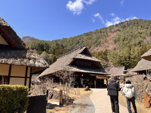 Essential Japan family tour, 8 days 