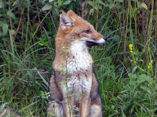 Argentina wildlife tour