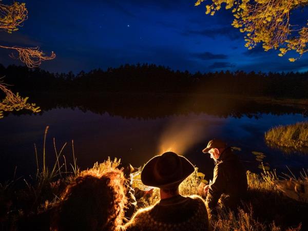 Wolf tracking tour in comfort, Sweden