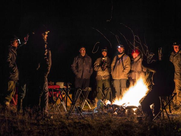 Wolf tracking tour in comfort, Sweden