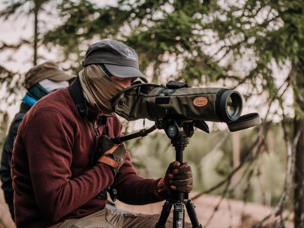 Wolf tracking tour in comfort, Sweden