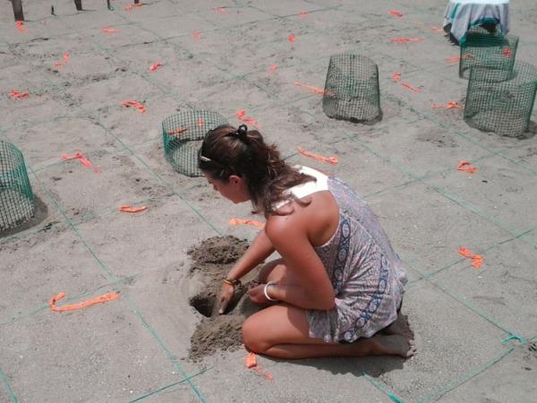 Turtle conservation holiday in Costa Rica