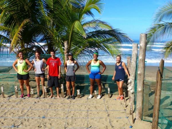 Turtle conservation holiday in Costa Rica
