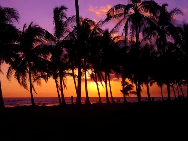 Turtle conservation holiday in Costa Rica
