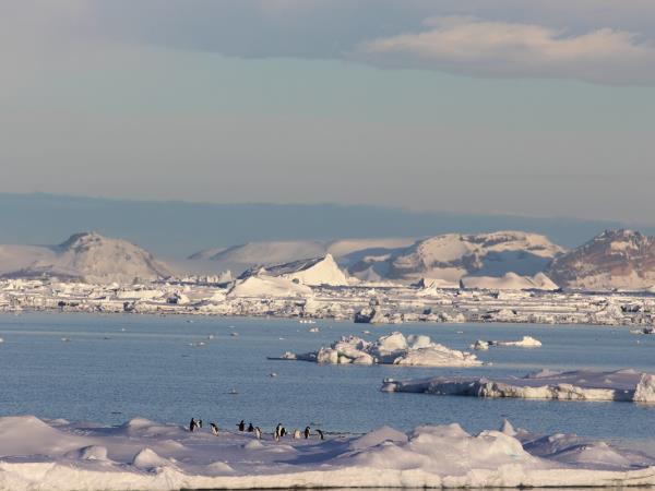 Antarctica, South Georgia & Falklands cruise