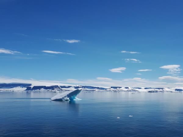 Antarctica, South Georgia & Falklands cruise