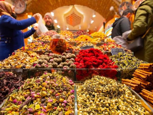 Istanbul cultural tour