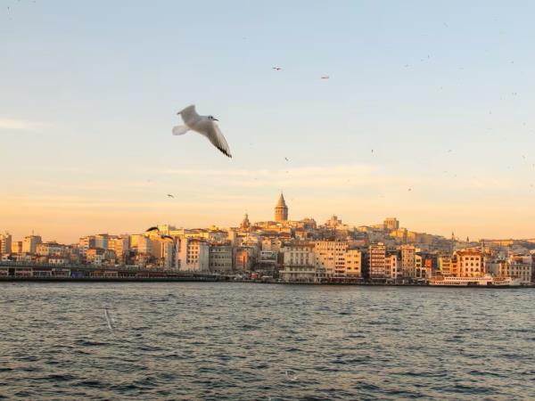 Istanbul cultural tour