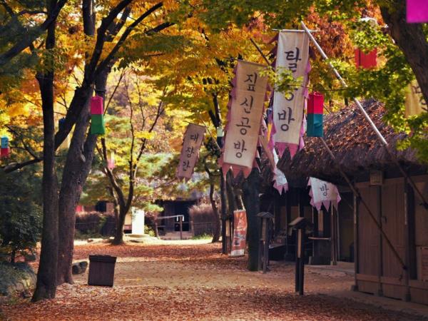 Seoul 4 day tour in Korea