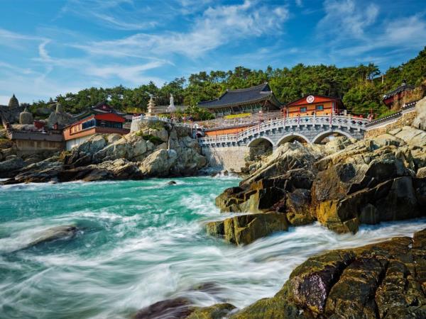 Premium Korea tour, Seoul to Busan