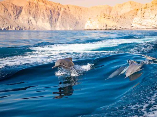 Oman tour, people & landscapes