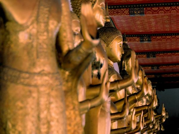 Thailand beach & rainforest holiday