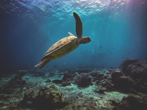 Malaysia holiday, rainforests and beaches