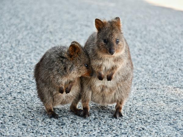 Western Australia self drive holiday