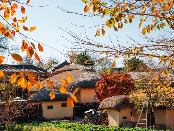 Korea east coast tour, Jeju to Seoul