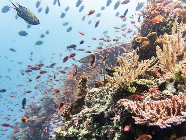 Indonesia luxury adventure holiday