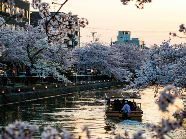 Japan guided luxury adventure holiday