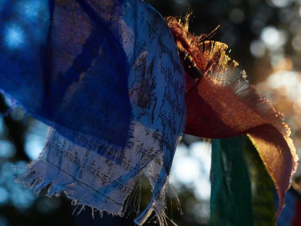 Nepal and Bhutan luxury guided tour