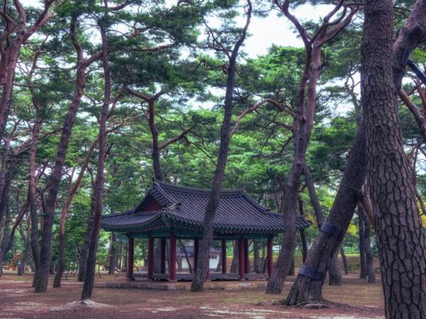 Korea small group 9 day tour