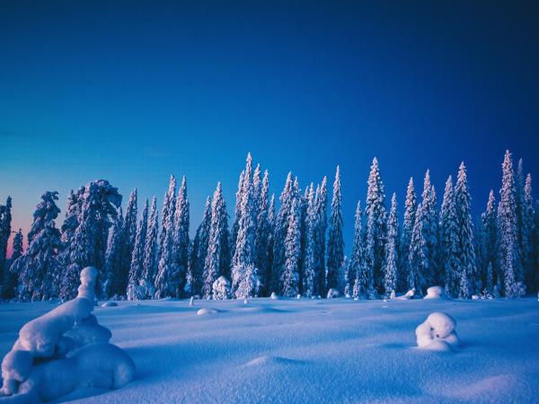 Family Northern Lights break, Finland