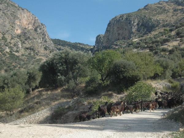 Puglia and Matera easy walking holiday