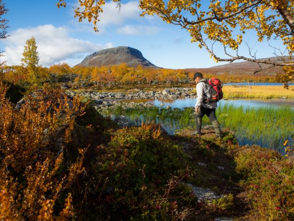 Luxury Lapland wilderness holiday