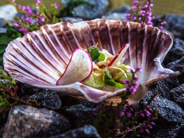 Norway, Denmark and Swedish Lapland luxury holiday