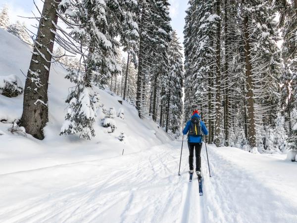Norway, Denmark and Swedish Lapland luxury holiday