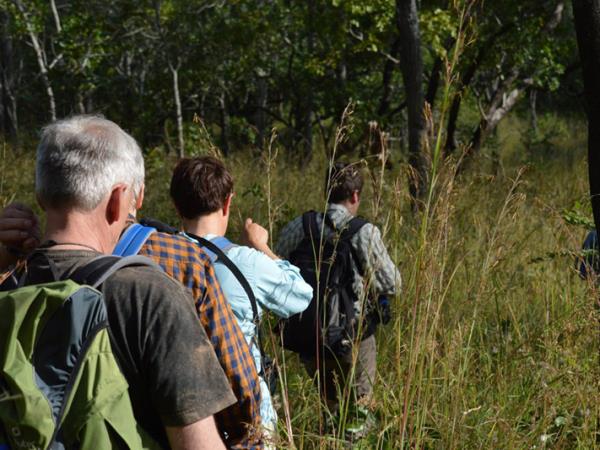 Malawi wildlife and beach holiday