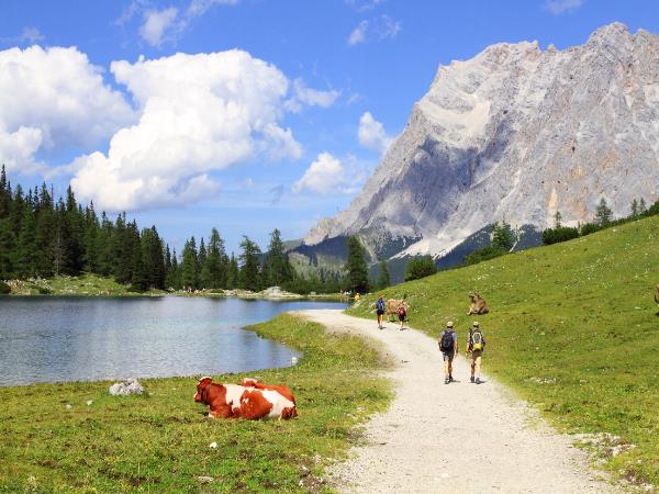 Austria walking holiday, easy mountain walking