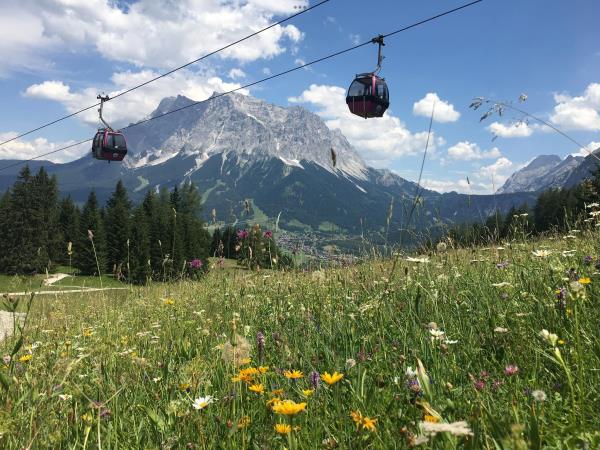 Austria walking holiday, easy mountain walking