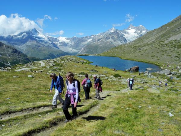 Switzerland walking holiday