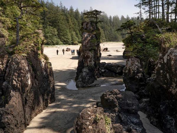British Colombia self drive wildlife holiday 