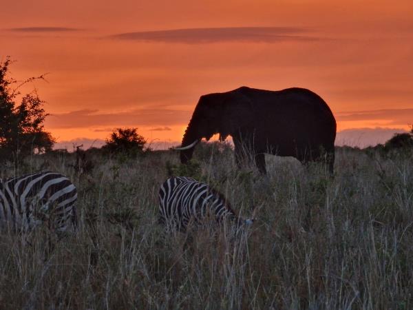 Tanzania accessible safari holiday