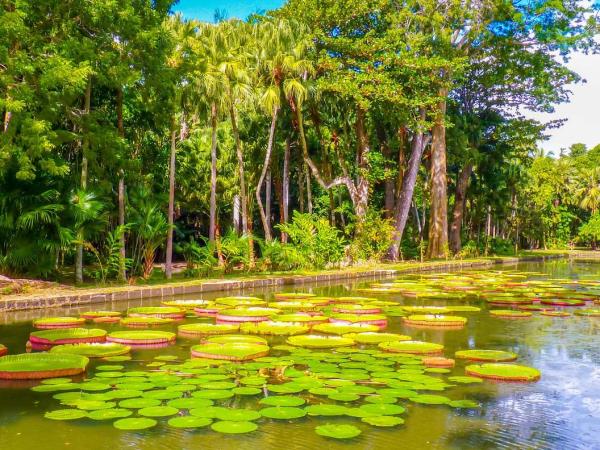 Mauritius adventure holiday