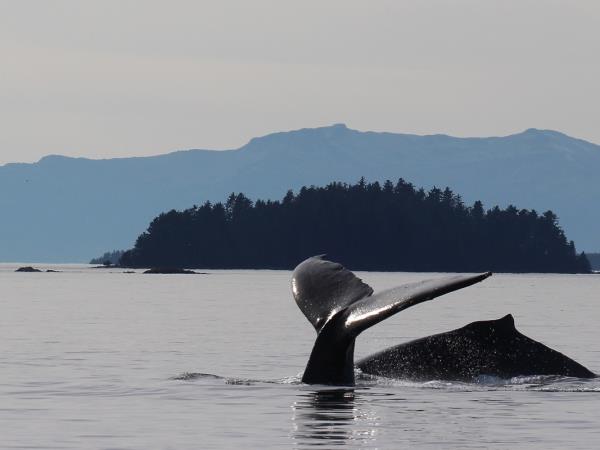 South east Alaska cruise