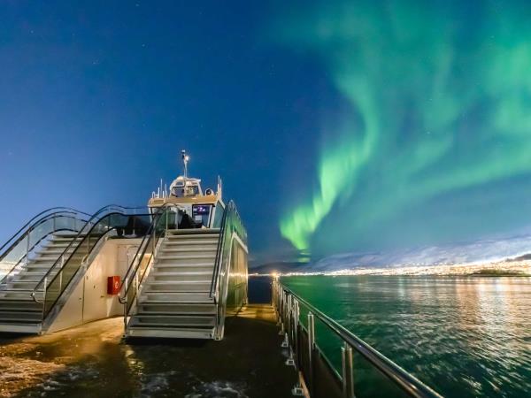 Arctic Adventure holiday, Whales, Huskies and Sami Culture