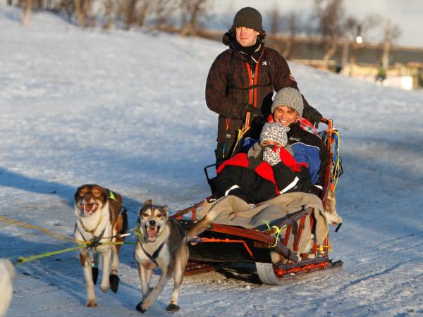 Arctic Adventure holiday, Whales, Huskies and Sami Culture