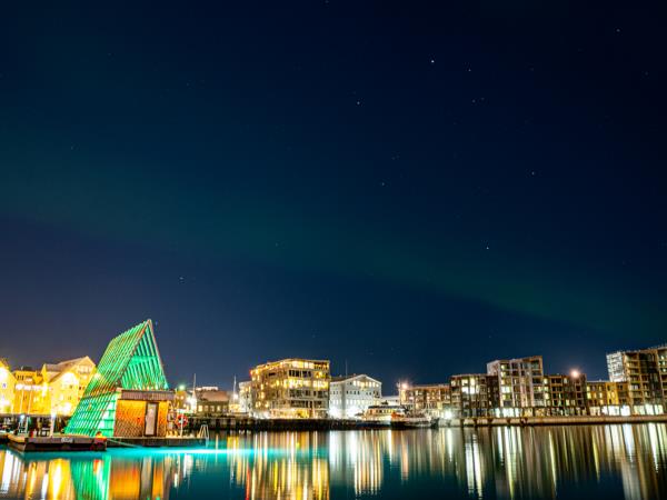 Arctic Adventure holiday, Whales, Huskies and Sami Culture