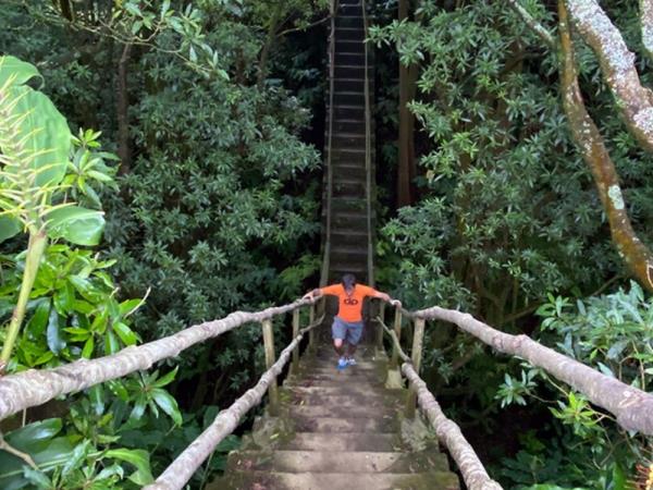 Azores walking & whale watching holiday