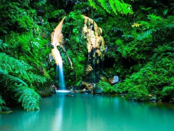 Azores walking & whale watching holiday
