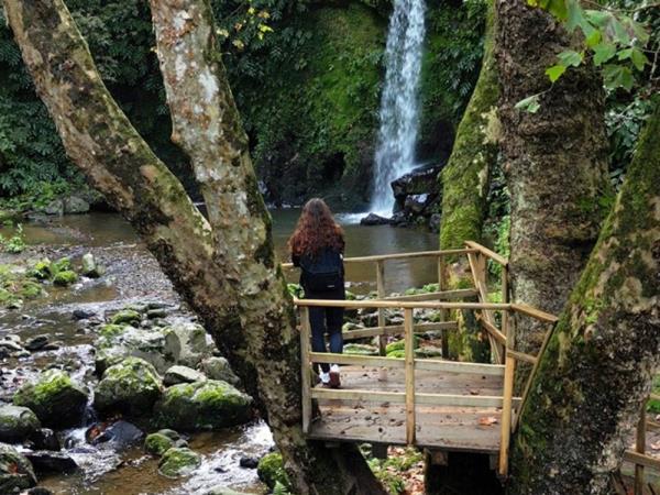 Azores walking & whale watching holiday