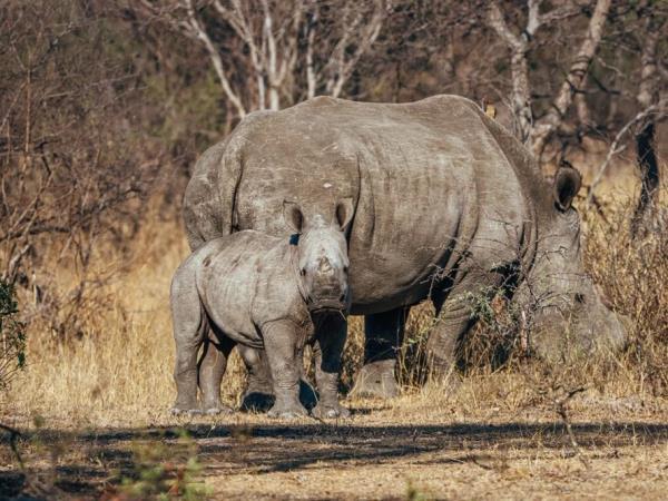 Zimbabwe holidays, tailormade