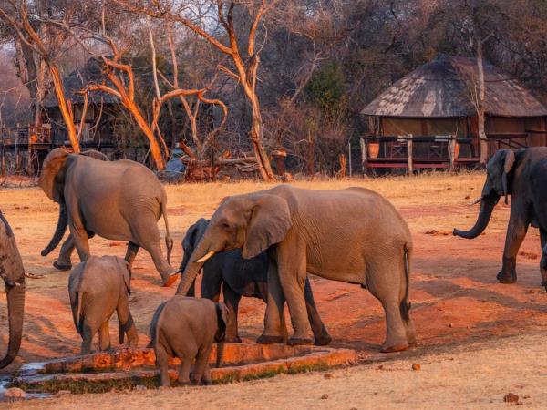 Zimbabwe holidays, tailormade