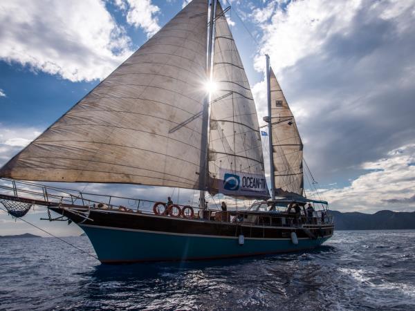 Saronic Greek island gulet cruise 