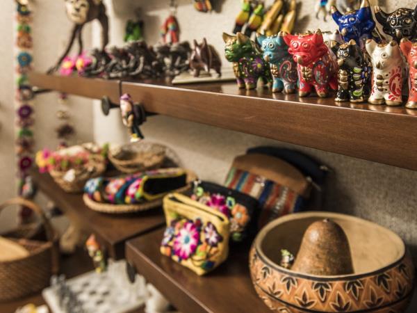 Peruvian Amazon river cruise, 4 days