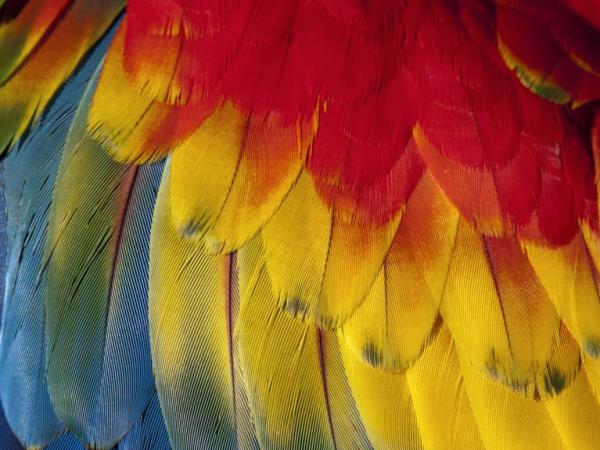 Costa Rica luxury nature holiday