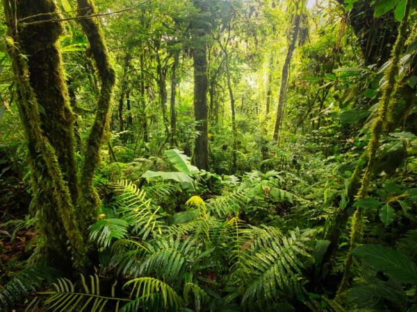 Costa Rica luxury nature holiday