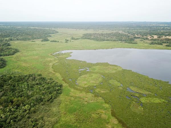Pantanal wildlife cruises in Brazil