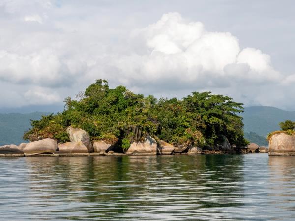 Pantanal wildlife cruises in Brazil